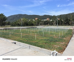 劳动教育实践基地