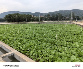 劳动教育实践基地